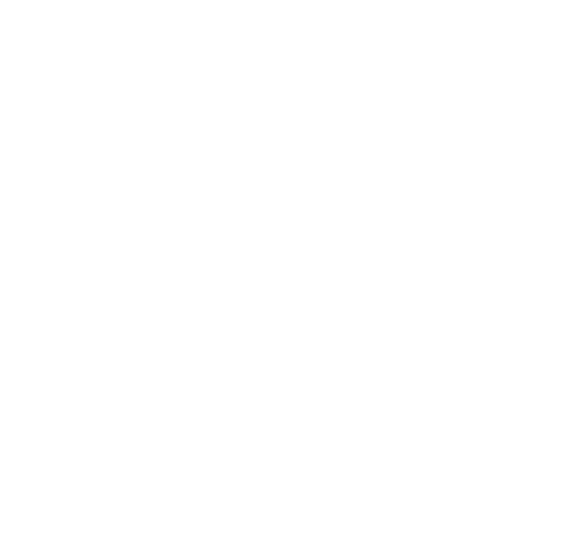 Richviv Travel & Aviation Consultancy